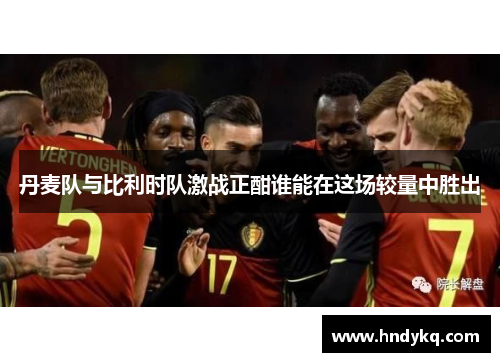 丹麦队与比利时队激战正酣谁能在这场较量中胜出