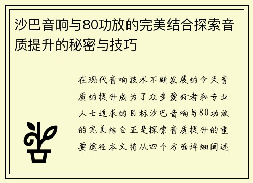 沙巴音响与80功放的完美结合探索音质提升的秘密与技巧
